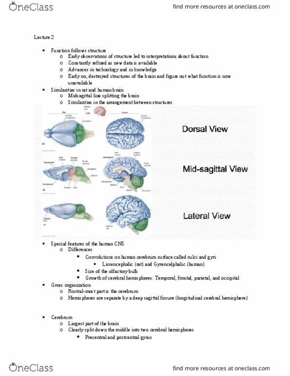 NROB60H3 Lecture Notes - Lecture 2: Central Nervous System, Cerebellum, Functional Magnetic Resonance Imaging thumbnail