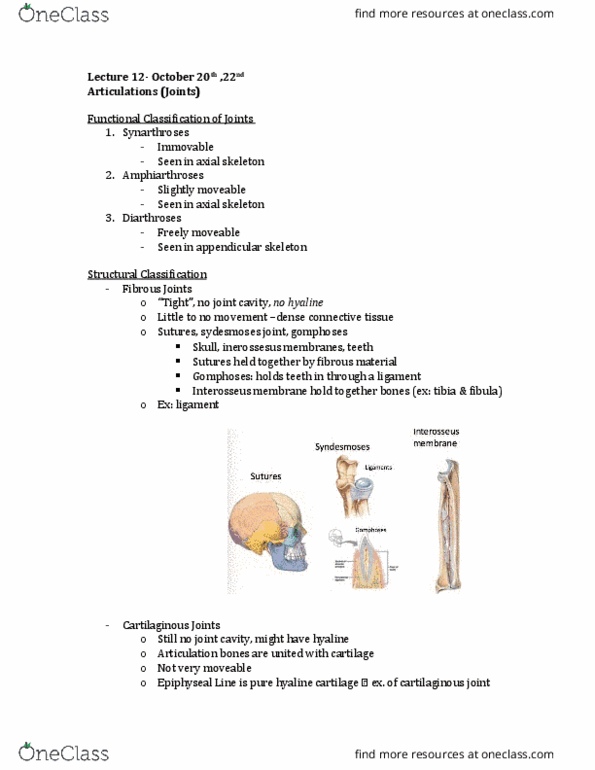 Kinesiology 2222A/B Lecture 3: Articulations thumbnail