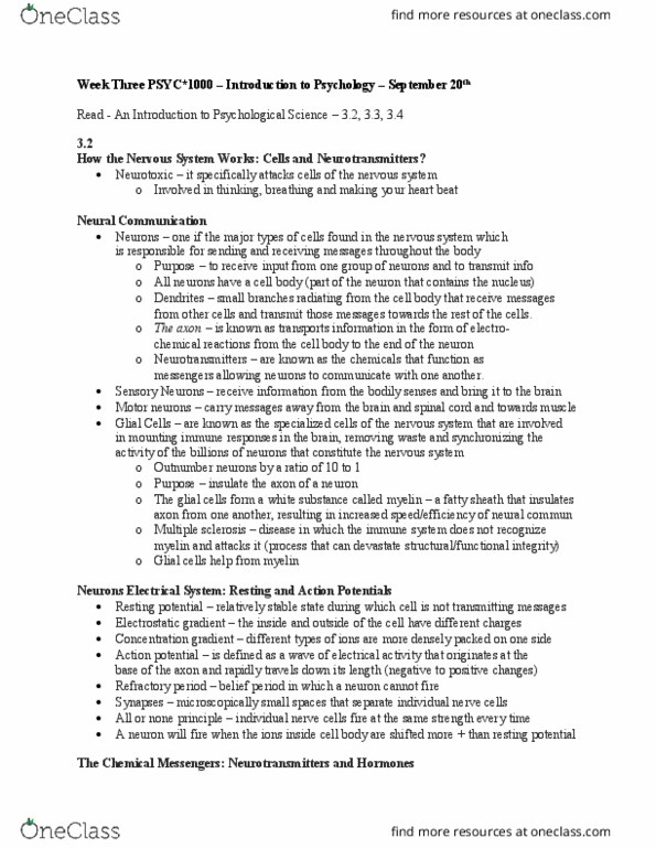 PSYC 1000 Lecture Notes - Lecture 3: White Matter, Neuroimaging, Persistent Vegetative State thumbnail