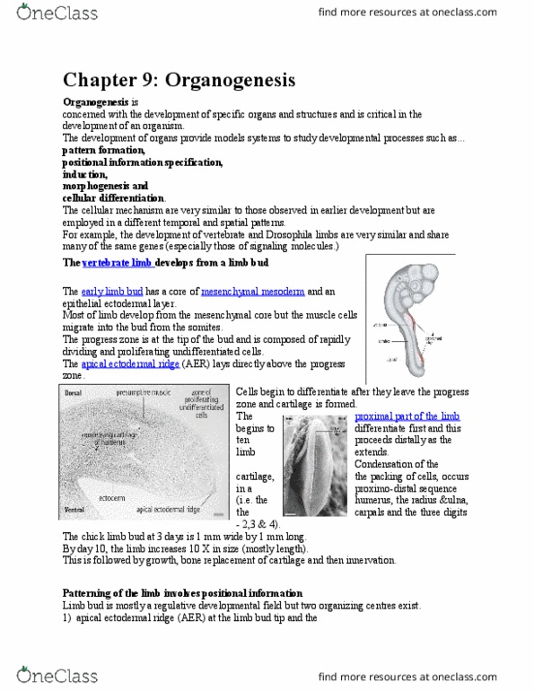 BIOL 3530 Lecture 11: Chapter 9 thumbnail