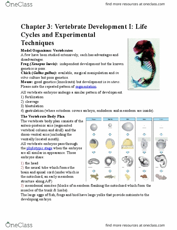 BIOL 3530 Lecture 3: Chapter 3.1 thumbnail