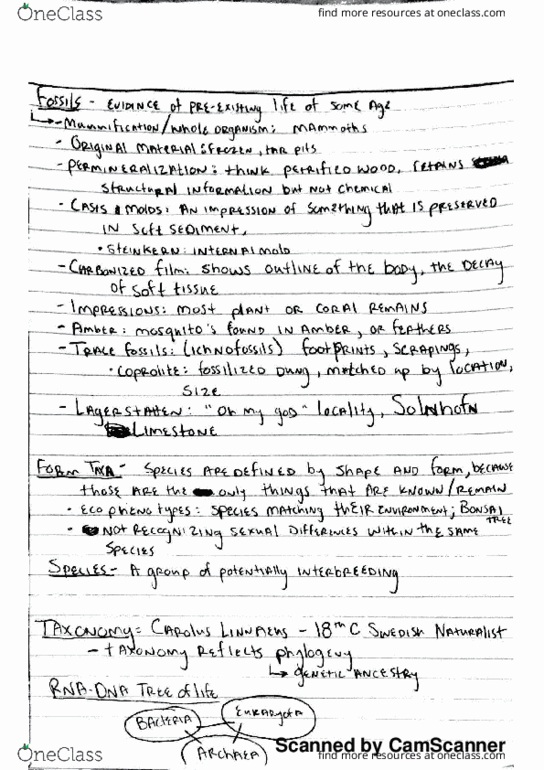 GLY-2100 Lecture 8: gly 9-28 thumbnail