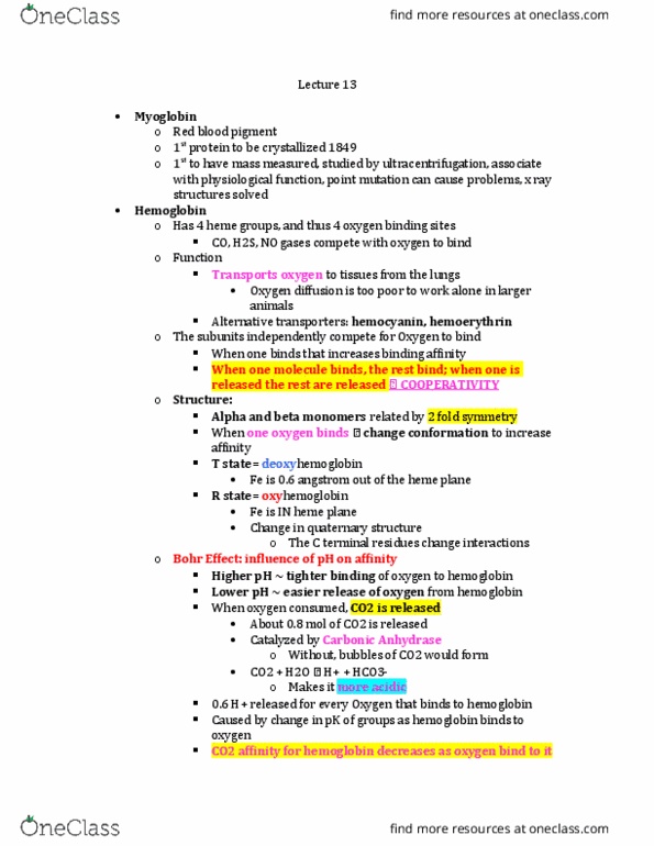 BCHS 3304 Lecture Notes - Lecture 13: Protoporphyrin Ix, Porphyrin, Iron(Iii) Oxide thumbnail