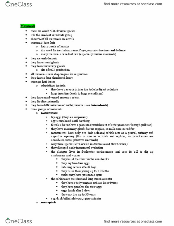 BIOL 111 Lecture Notes - Lecture 24: Sexual Differentiation, Umbilical Artery, Zygote thumbnail