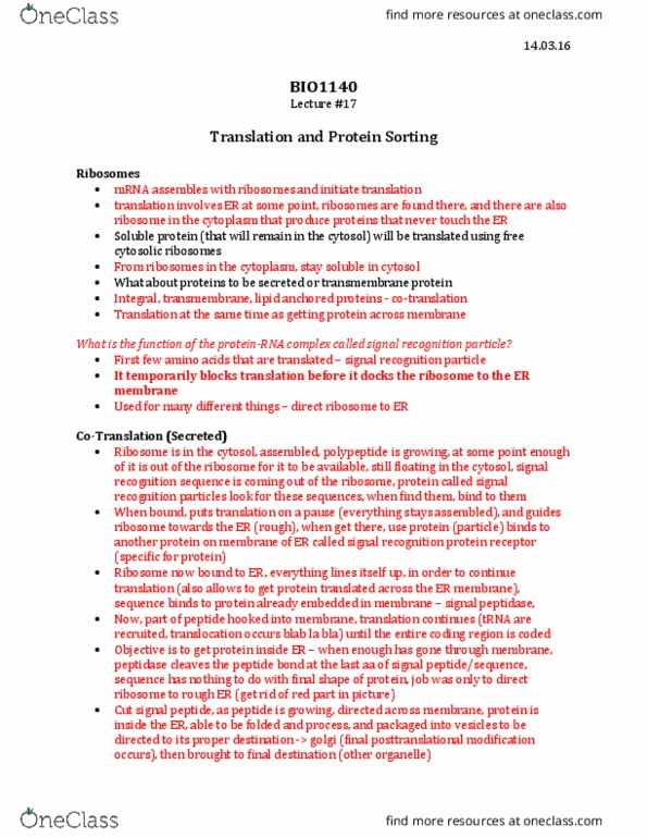 BIO 1140 Lecture Notes - Lecture 17: Stop Codon, Reading Frame, Signal Transduction thumbnail