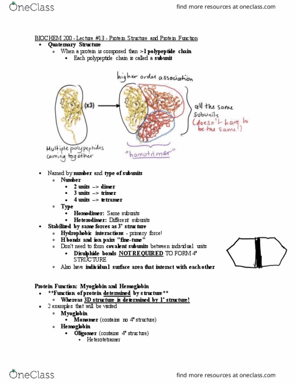 BIOCH200 Lecture Notes - Lecture 13: Aliphatic Compound, Histidine, Porphyrin thumbnail