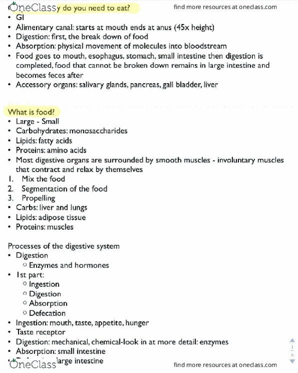 PHYSCI 5 Lecture Notes - Lecture 3: Gastrointestinal Tract, Adipose Tissue, Taste Receptor thumbnail