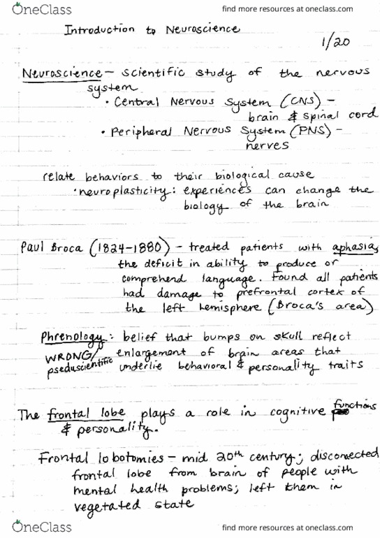 PSYCH 330 Lecture Notes - Lecture 1: Behavioral Neuroscience, Central Nervous System, Paul Broca thumbnail