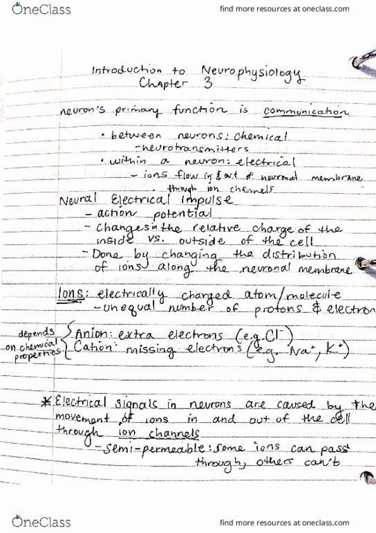 PSYCH 330 Lecture Notes - Lecture 6: Membrane Potential, Depolarization, Semipermeable Membrane thumbnail