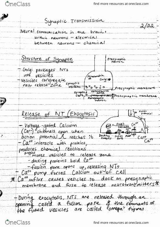 PSYCH 330 Lecture Notes - Lecture 9: Signis, Neurotransmitter Receptor, North American Free Trade Agreement thumbnail