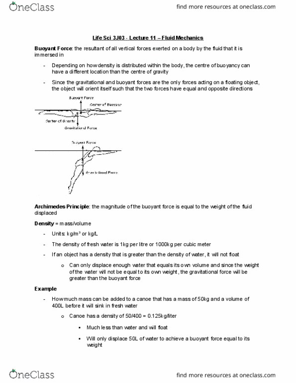 LIFESCI 3J03 Lecture Notes - Lecture 11: Reynolds Number, Turbulence, Parasitic Drag thumbnail