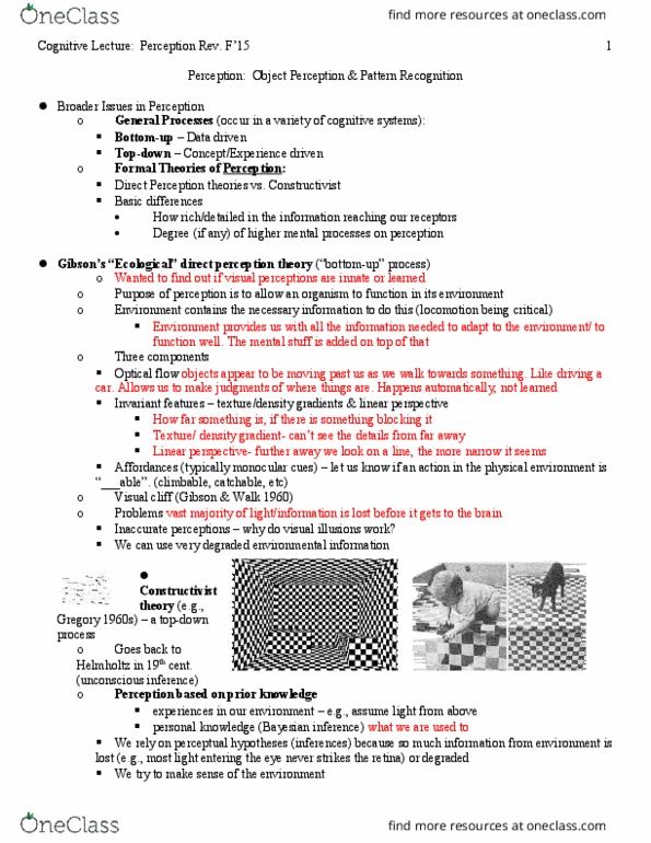 PSYC 461 Lecture Notes - Lecture 3: David H. Hubel, Statistical Hypothesis Testing, Visual Search thumbnail