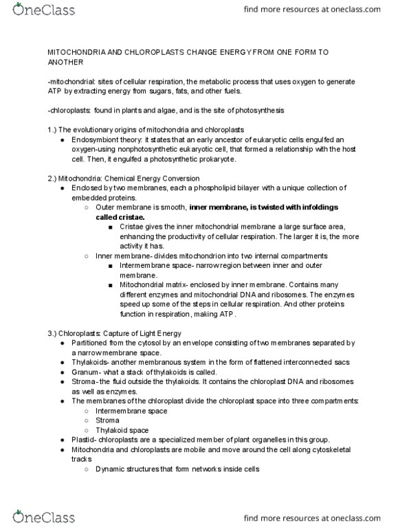 BIO SCI 93 Lecture Notes - Lecture 7: Rechargeable Battery, Cytoplasmic Streaming, Cell Cortex thumbnail