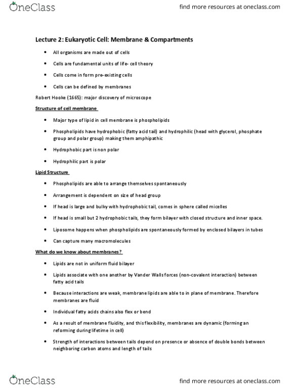 BIOA01H3 Lecture Notes - Lecture 2: Turgor Pressure, Facilitated Diffusion, Microsoft Powerpoint thumbnail