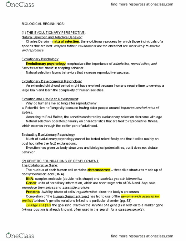 PSY BEH 101D Chapter Notes - Chapter 2: Fetus, Antibiotics, Syphilis thumbnail