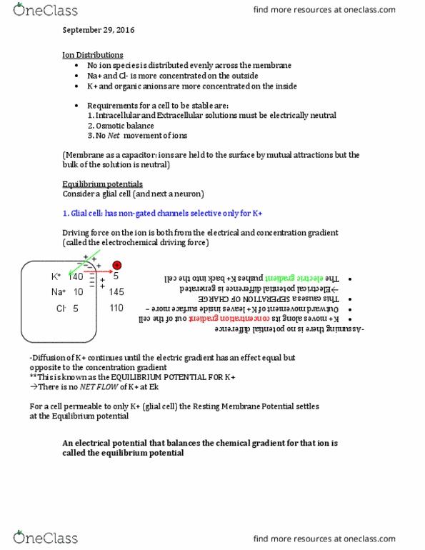 BIOL 3P34 Lecture Notes - Lecture 7: Nernst Equation, Farad, Membrane Potential thumbnail