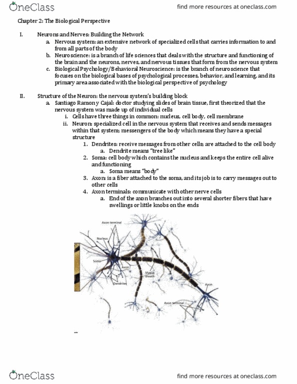 PSYC 2000 Lecture Notes - Lecture 1: Anorexia Nervosa, Adrenal Cortex, Olfactory Receptor thumbnail