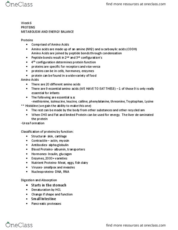 FNS 370 Lecture Notes - Lecture 6: Glycolysis, Specific Dynamic Action, Citric Acid Cycle thumbnail