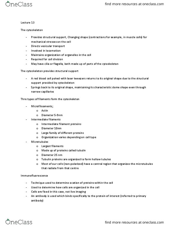 BIO130H1 Lecture Notes - Lecture 13: Intermediate Filament, Mitosis, Phalloidin thumbnail