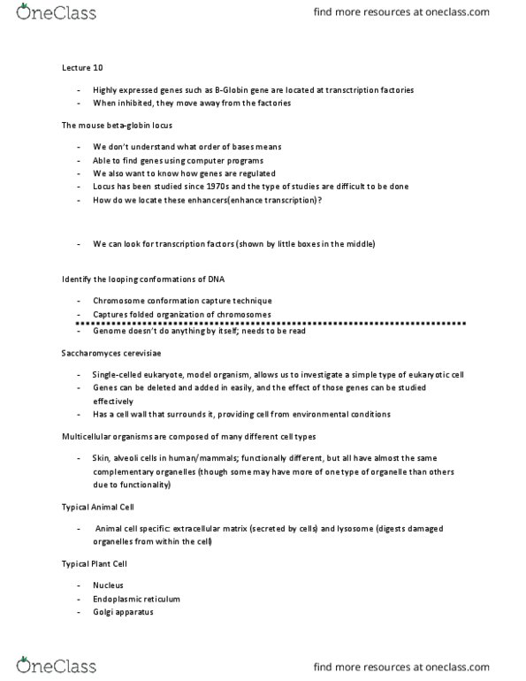 BIO130H1 Lecture Notes - Lecture 10: Chromosome Conformation Capture, Protein C, Mitochondrion thumbnail