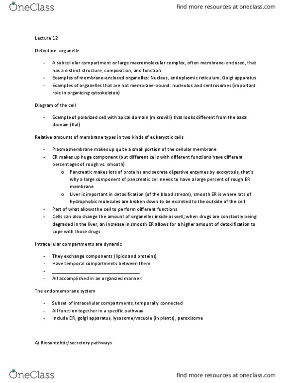 BIO130H1 Lecture Notes - Lecture 12: Peroxisome, Endomembrane System, Protein Targeting thumbnail