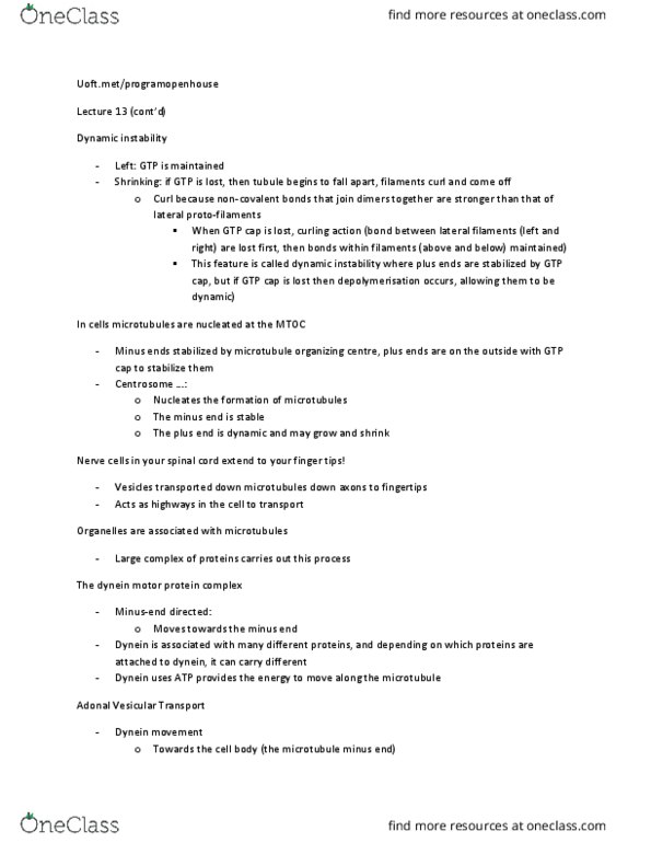 BIO130H1 Lecture Notes - Lecture 13: Hydrolysis, Coiled Coil, Centrosome thumbnail