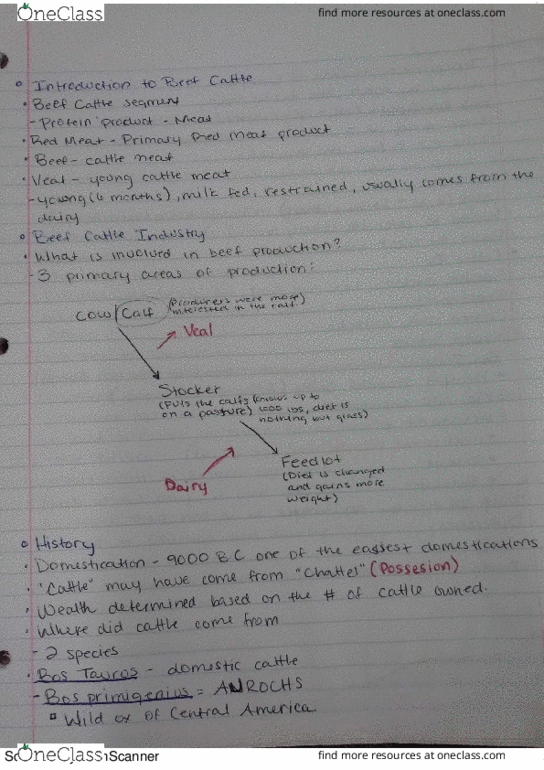 ANS 121H Lecture 4: Beef and Dairy Intro thumbnail