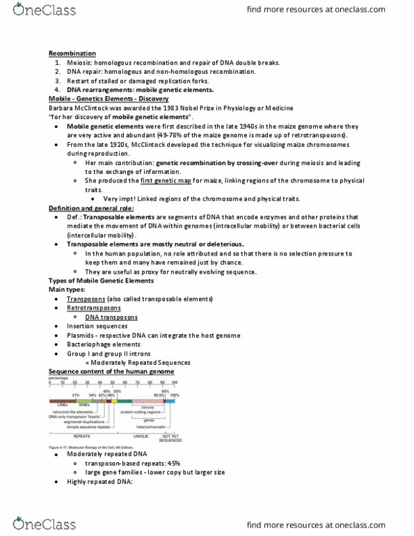 BIO 3170 Lecture Notes - Lecture 7: Mobile Genetic Elements, Alu Element, Transposable Element thumbnail