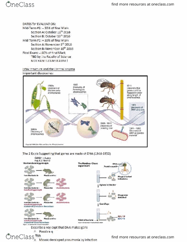 BIO 3170 Lecture Notes - Lecture 1: Phosphodiester Bond, Bacteriophage, Sug thumbnail