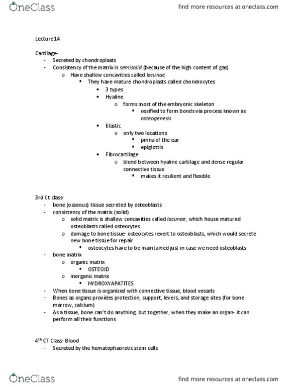 BSCI 201 Lecture Notes - Lecture 14: Hyaline Cartilage, Fibrinogen, Blood Plasma thumbnail