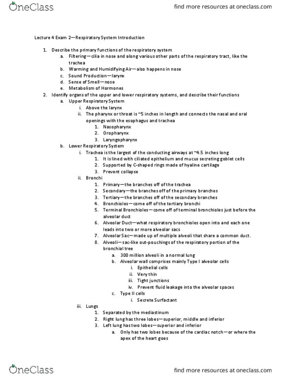 PSIO 202 Lecture Notes - Lecture 15: Alveolar Duct, Bronchus, Hyaline Cartilage thumbnail