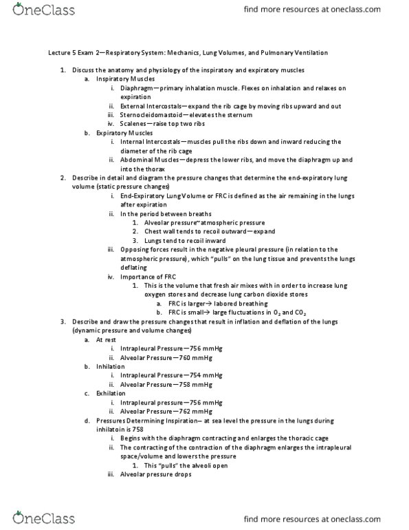 PSIO 202 Lecture Notes - Lecture 16: Breathing, Alveolar Pressure, Dynamic Pressure thumbnail