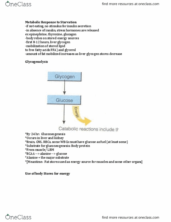 NSD 481 Lecture Notes - Lecture 6: Atkins Diet, Protein Catabolism, Subcutaneous Tissue thumbnail