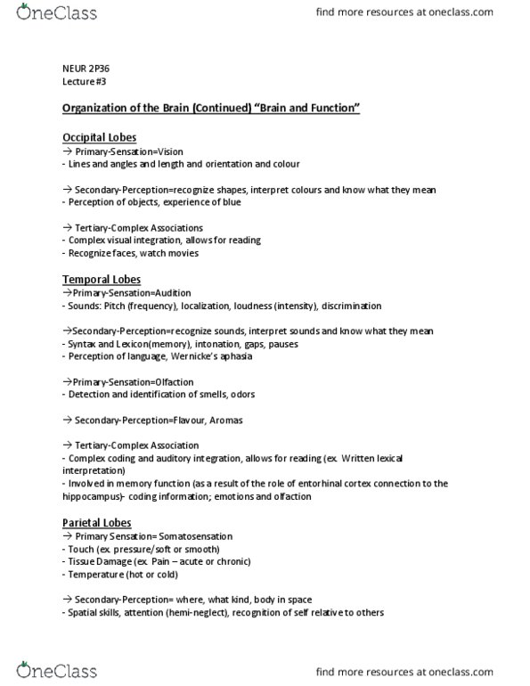 NEUR 2P36 Lecture Notes - Lecture 3: Frontal Lobe, Hemispatial Neglect, Entorhinal Cortex thumbnail