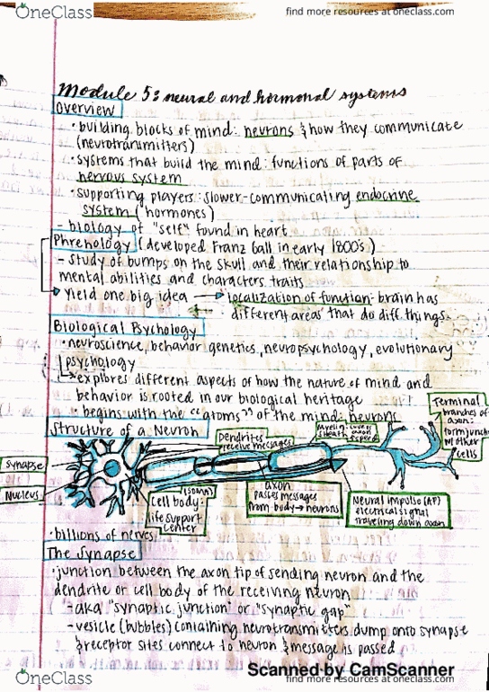 PSYCH 10 Lecture 2: Neural and Hormone Systems (1) thumbnail