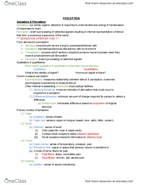 CAS PS 101 Lecture Notes - Lecture 4: Olfactory Bulb, Taste Bud, Absolute Threshold thumbnail