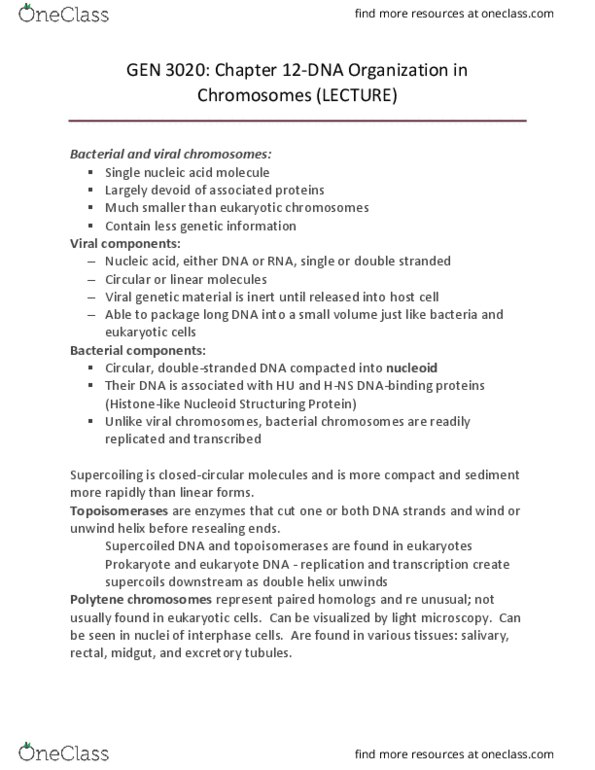 GEN-3020 Lecture Notes - Lecture 13: Chromatin Remodeling, Dna Replication, Polytene Chromosome thumbnail