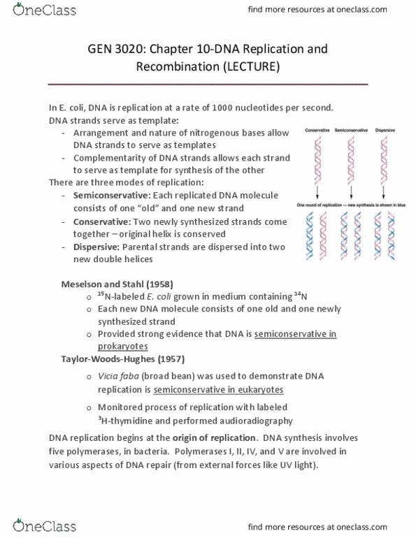 GEN-3020 Lecture 12: CHP 11 (DNA Replication) thumbnail