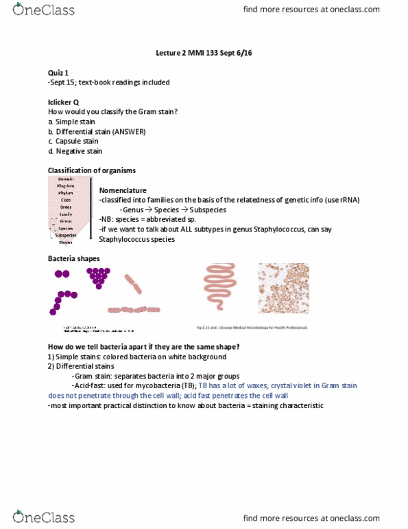 MMI133 Lecture Notes - Lecture 2: Disseminated Intravascular Coagulation, Neisseria Meningitidis, Gram Staining thumbnail