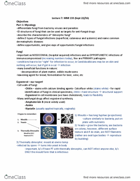 MMI133 Lecture Notes - Lecture 7: Tinea Cruris, Cryptococcus Neoformans, Lymphangitis thumbnail