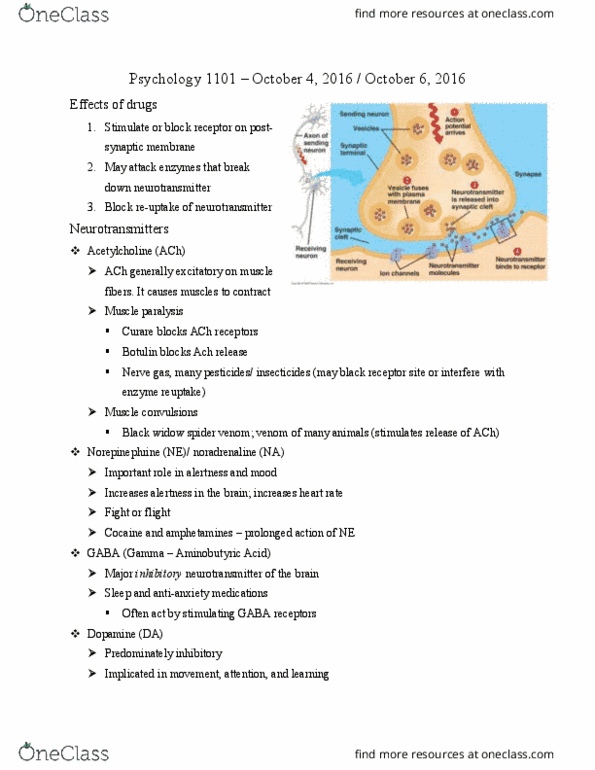 PSY 1101 Lecture Notes - Lecture 6: Central Nervous System, Reticular Formation, Autonomic Nervous System thumbnail