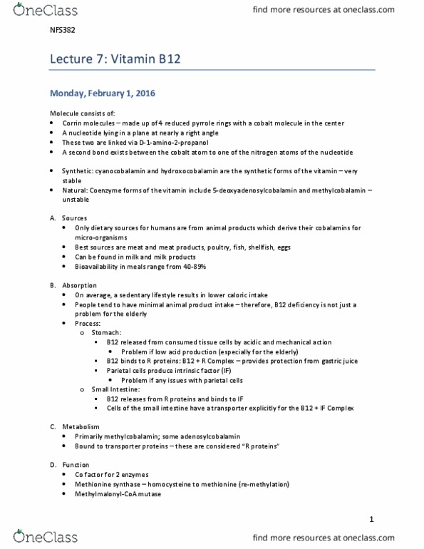 NFS382H1 Lecture Notes - Lecture 8: Vitamin B12 Deficiency, Megaloblastic Anemia, Enterohepatic Circulation thumbnail