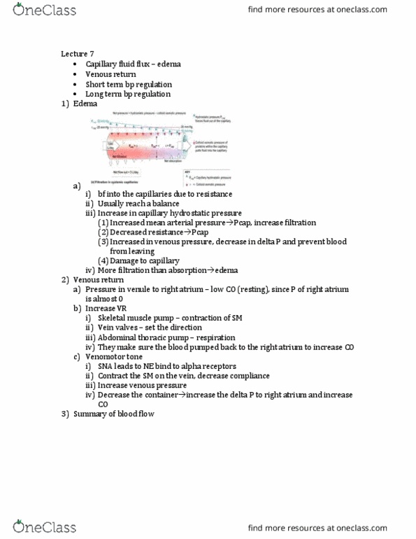 PGY 300 Lecture Notes - Lecture 7: Blood Pressure, Adrenal Medulla, Skeletal Muscle thumbnail