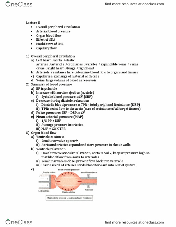 PGY 300 Lecture Notes - Lecture 5: Vascular Resistance, Mean Arterial Pressure, Pulse Pressure thumbnail