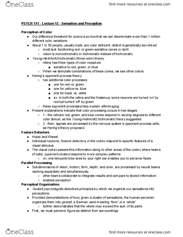 PSYC 111 Lecture Notes - Lecture 12: Necker Cube, Visual Cortex, Trichromacy thumbnail