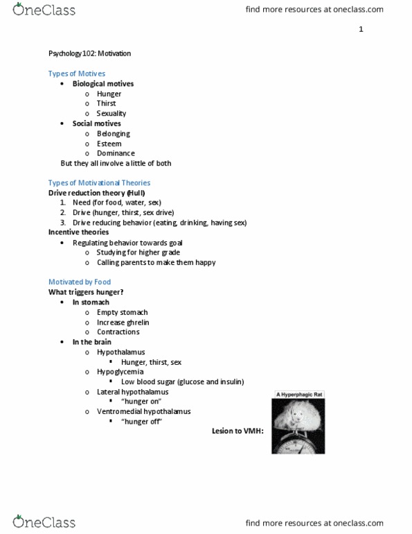 PSYC 102 Lecture Notes - Lecture 7: Lateral Hypothalamus, Libido, Hypoglycemia thumbnail