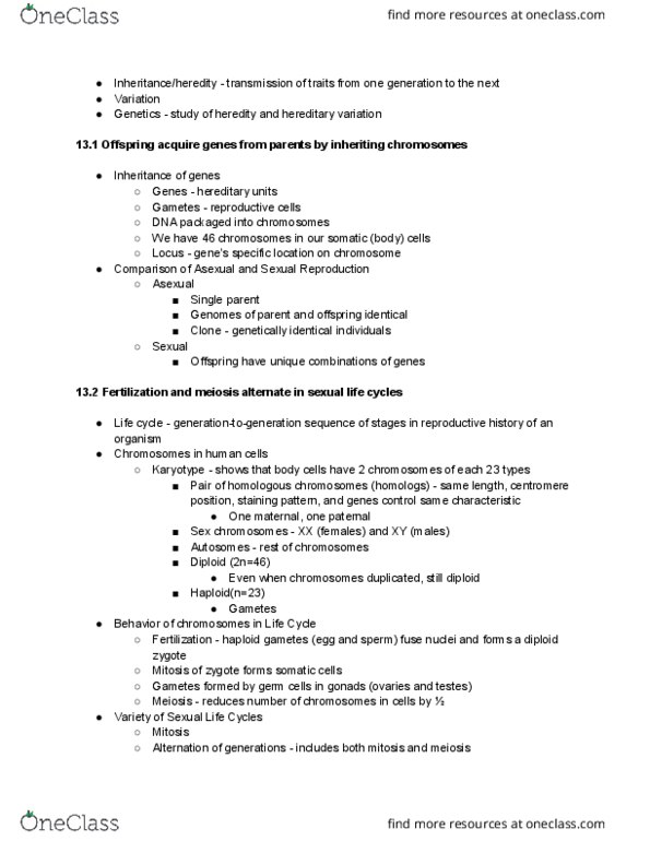 BIOL 2100 Chapter Notes - Chapter 13: Centromere, Nuclear Membrane, Allosome thumbnail