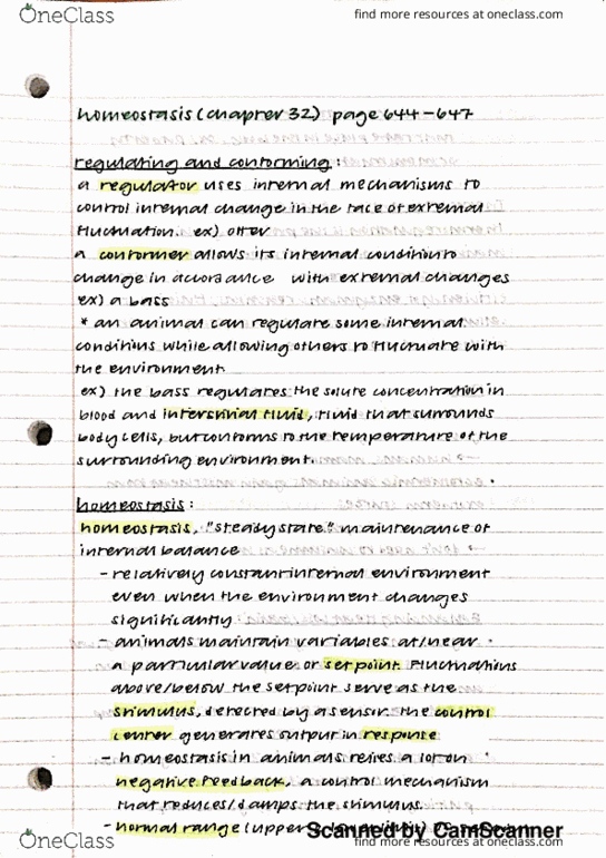 BILD 2 Chapter 32: Homeostasis Notes thumbnail