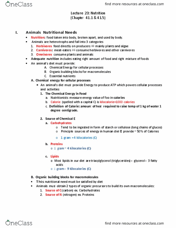 01:119:116 Lecture 23: Lecture 23- Nutrition thumbnail