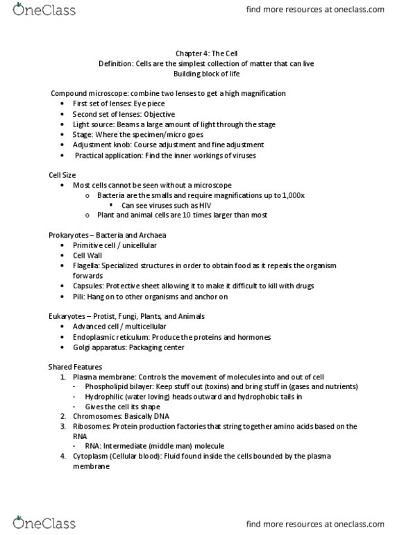 BIOL 103 Lecture Notes - Lecture 12: Golgi Apparatus, Primitive Cell, Optical Microscope thumbnail